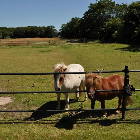 Haus Ruhewinkel, 1 Dom wakacyjny Alkersum