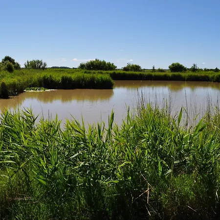 Haus Ruhewinkel, 1 Alkersum